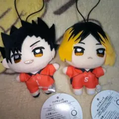 ハイキュー!! ぬいぷりけmini3 黒尾鉄朗 孤爪研磨　2点