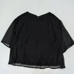 LE CERCLE par ropé 刺繍ドット コットンシアーブラウス 黒 F - メルカリ