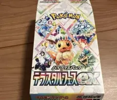 テラスタルフェスex 10パック 未開封パック