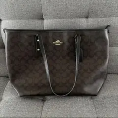 か*氷様 超美品 COACH シグネチャー ショルダーバッグ ブラウン - メルカリ