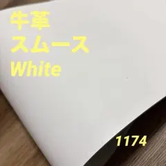 Item thumbnail for item 6cfbb96a-4ff3-472c-bd17-ff6a64d43daa