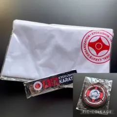 Item thumbnail for item 619c6849-b4c8-4848-93b8-da65da042d39