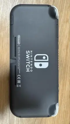 Nintendo Switch Lite グレー 本体のみ