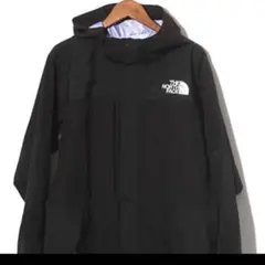 ビームス別注North Face Expedition Light Parka