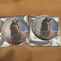 名牝 缶バッジ シークレット - メルカリ