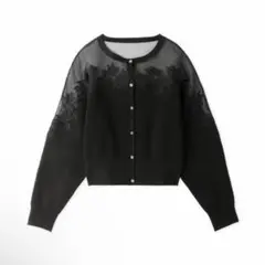 SNIDEL スナイデル デコルテシアーエンブロイダリーニットプルオーバー