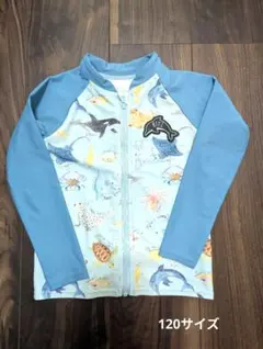 【美品】海の生き物図鑑 　ラッシュガード120サイズ