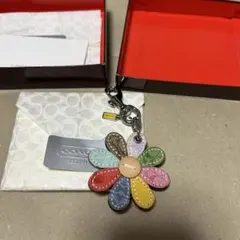 Item thumbnail for item 95a9c2a0-620e-4b1a-b239-0f8a8840fcc9