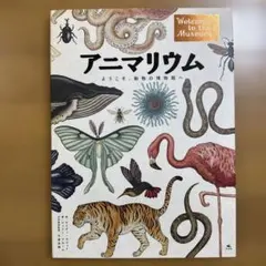 Item thumbnail for item cab2dad5-86c6-4ae2-a680-d8e40aab4420