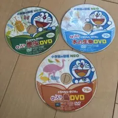 Item thumbnail for item d815be2d-0dd7-4e7f-9c37-7e54c4bfc9dc