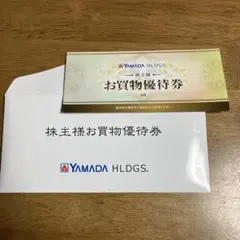 YAMADA HLDGS. ヤマダデンキ　お買物優待券 6枚セット3,000円分