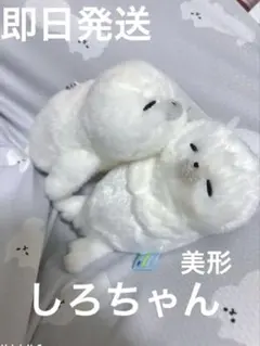 ほわほわアザラシちゃん ウルトラBIG ぬいぐるみ 超ウルトラBIG 限定