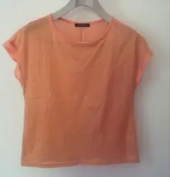 ミッシェルクラン　Tシャツ　カットソー