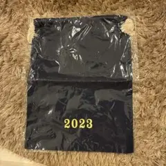ほぼ日　ほぼだいじなものぶくろ