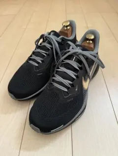 Item thumbnail for item c4abfb80-d7f9-4c07-ba65-11d7d1b1f280