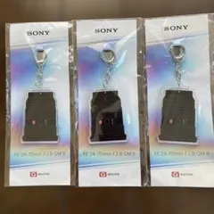 Item thumbnail for item 6c727e89-44ef-4648-aa4b-8e319b281201