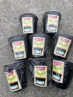 春の植替えに。根っこつよし 9号、8号、7号 とリキダス800mlセット