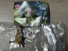 釣り日和4 ミーアキャット