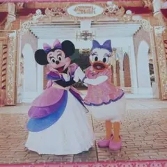 ディズニー スペシャルフォト 2011 ミニー&ミスバニー - メルカリ