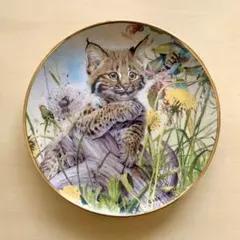 フランクリンミント社　ポーセリン　かわいい動物の置物 美品 フランクリンミント フィギュリン 陶器 置物 薩摩犬 dog