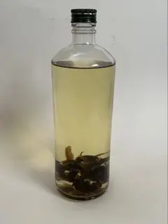 2026年最新】スズメバチ 焼酎の人気アイテム - メルカリ