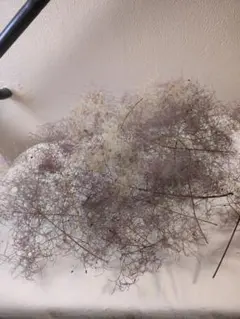 みふ様 リクエスト 2点 まとめ商品