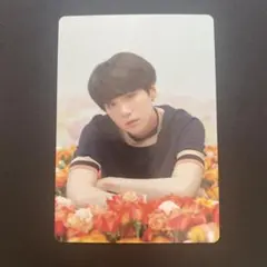 BTS LOVEYOURSELF ミニフォト シュガ