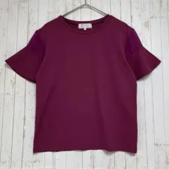 ◆ロペピクニック　袖シアーカットトップス　フレアスリーブ　クルーネック　きれいめ