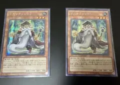 遊戯王 アジア版 亜版 マスマティシャン　アジアシク　2枚セット 遊戯王 アジア版 亜版 マスマティシャン アジアシク 2枚セット - メルカリ