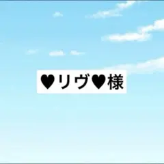 アメステ きみどり様 - メルカリ
