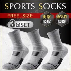 Item thumbnail for item bc5a7d97-a1ae-4163-9d03-19ebc98cb4fe