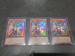 魔術師の弟子 ブラックマジシャンガール　 黒魔導のカーテン　デッキパーツ