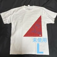 【未使用】 公式グッズ エースコンバットゼロ ガルム隊 Tシャツ L ホワイト