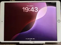 Apple iPad Air第3世代 ローズゴールド本体【ジャンク品】