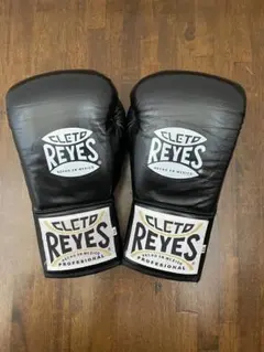 8オンス CLETO REYES ボクシンググローブ 比嘉大吾サイン レイジェス レイジェス(reyes) 競技用公式 グローブ Steel Snake【プロ用 紐式】 8