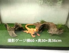 Item thumbnail for item 40ed02a3-e348-48ad-ace1-b5d9f3dcee5c