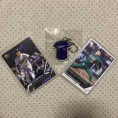 Item thumbnail for item 9e813aee-e3d1-41aa-a30b-6ef001dcba11