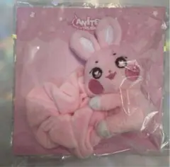 aniteez アイドル