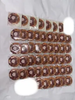 からぴち　えと　缶バッジ 2025のサムネイル