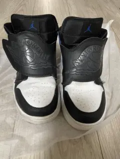 21㌢Jordan Sky Jordan キッズシューズ BQ7197-115