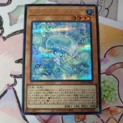 マルチャミープルリア　シークレット