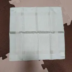 Item thumbnail for item 158efffd-c29d-4ca7-a571-a3e3412146ce