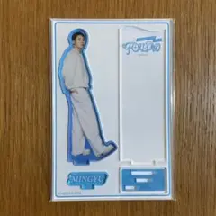 Seventeen follow again Japan アクスタ ミンギュ