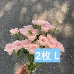 Item thumbnail for item fcd6c87c-ace1-4651-87dd-d24037987d30