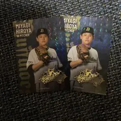 MIYAGI HIROYA ホロカード 2枚セット