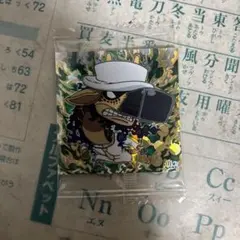 ワンピースシールウエハース カク SGR