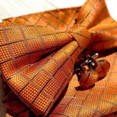 ◆蝶ネクタイ オレンジ　テラコッタ　結婚式　チーフ　カフス　Fjw