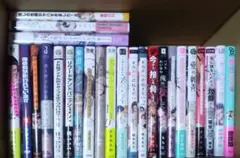 廃盤・希少☆（セル版DVD）「不安が不安」☆ライナー・ヴェルナー