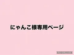 にゃんこ様専用ページ♡
