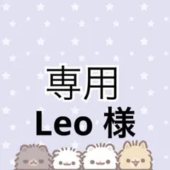 Leo 様 リクエスト
